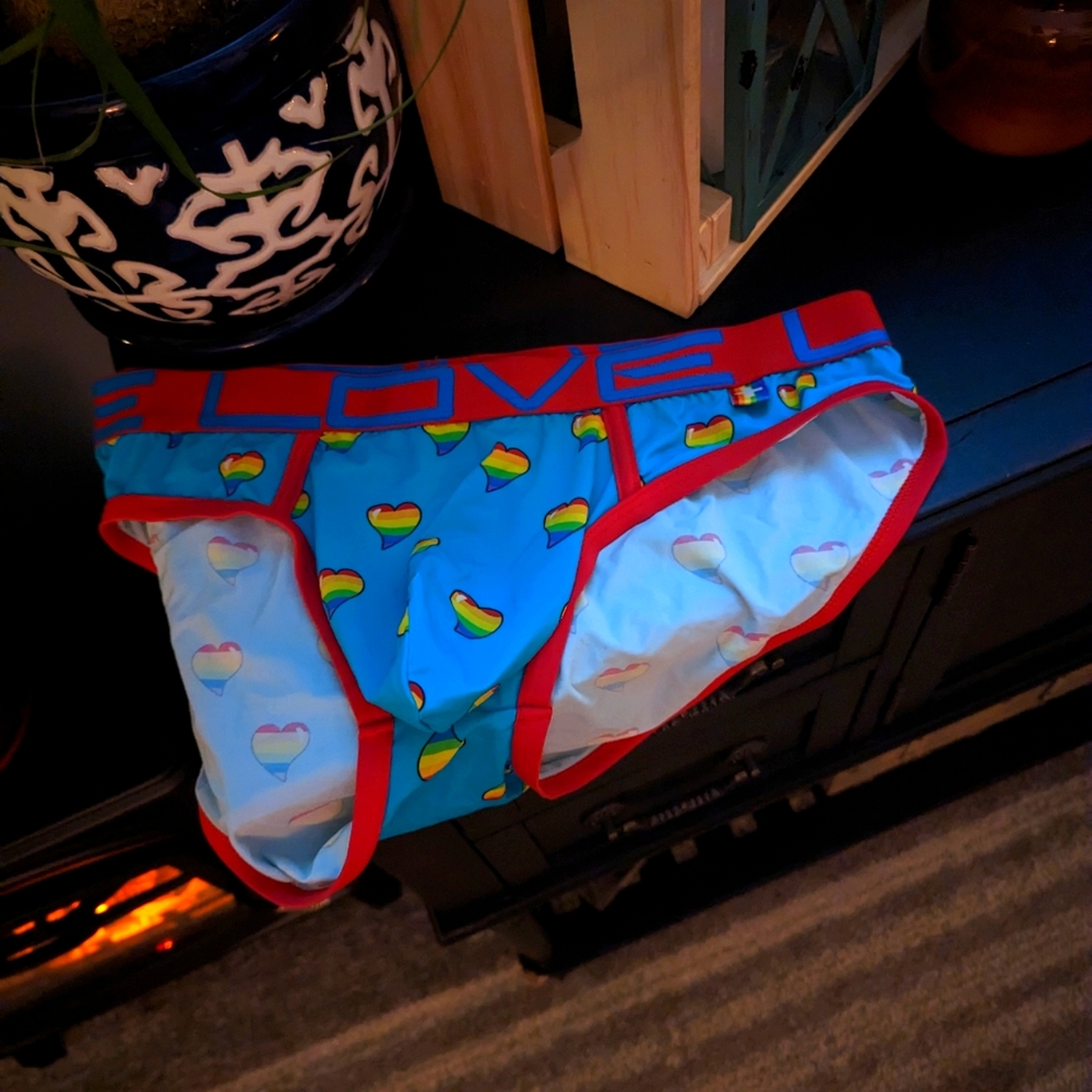 Andrew Christian Heart briefs